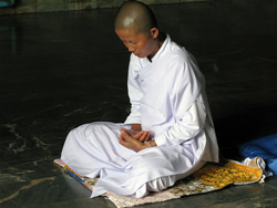 Monje budista meditando en un templo